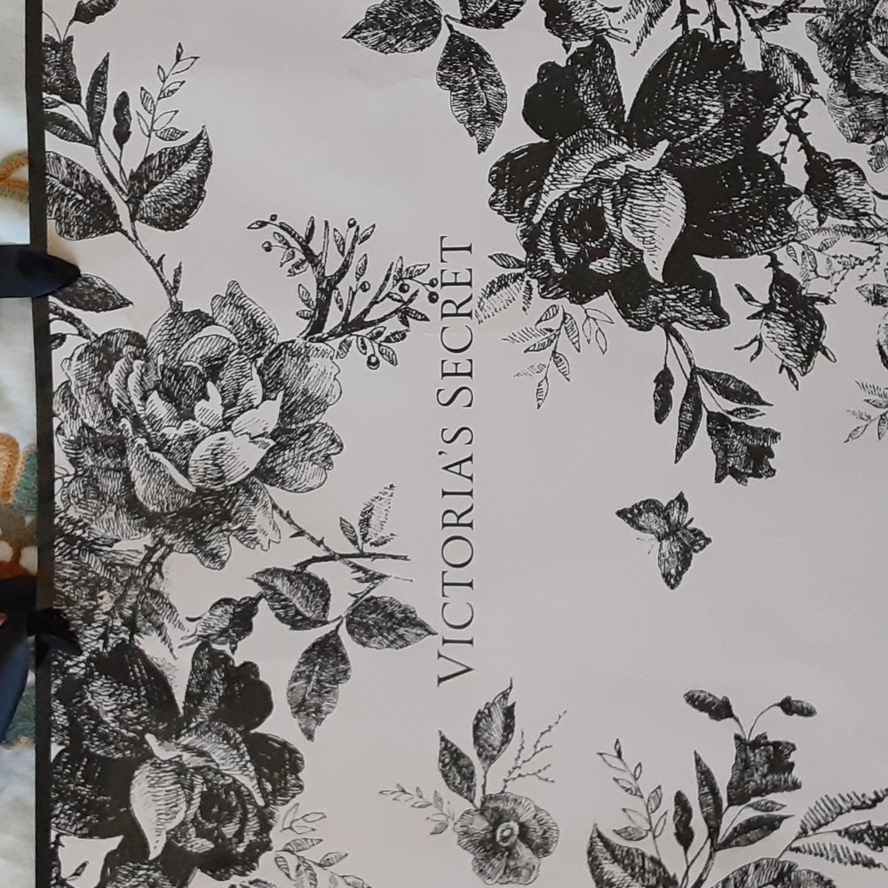 Victoria's secret gift bag